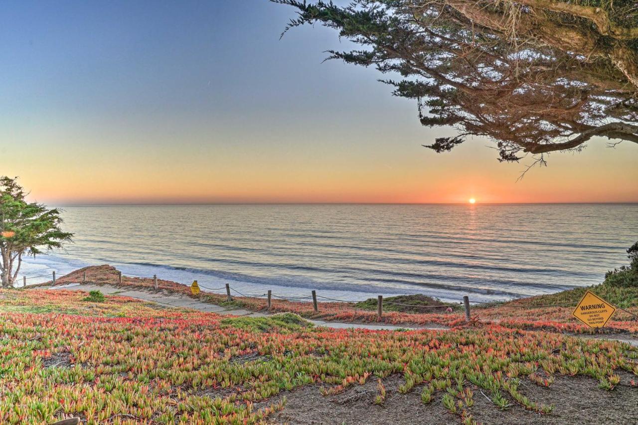 Cliffside Pacifica Hideaway Unbeatable View! Apartamento Exterior foto